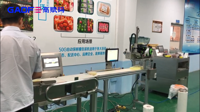 高賦碼 稱重+自動貼標打印方案——輸送果蔬行業(yè)視頻